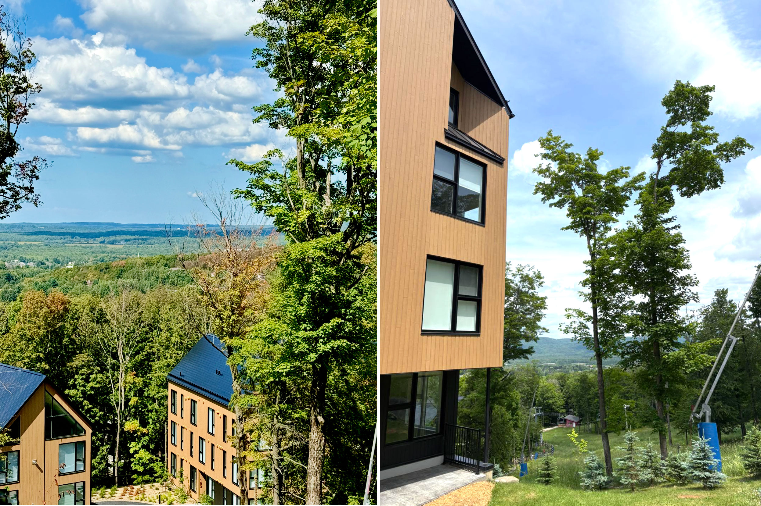 Arborescence Bromont Montagne ski